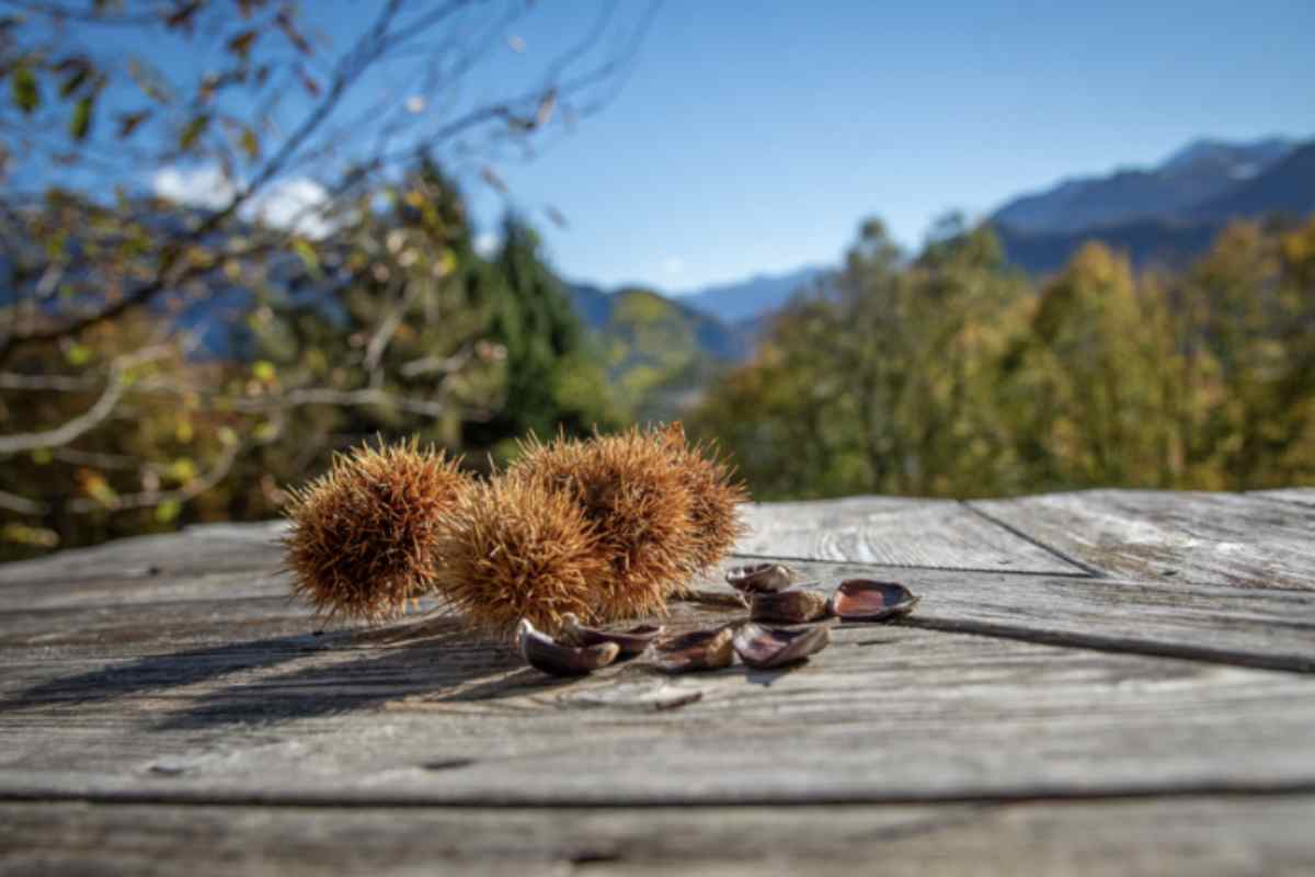 Tra i frutti simbolo di questa stagione spiccano le castagne, che si possono raccogliere in numerosi borghi immersi tra boschi secolari e paesaggi incantevoli