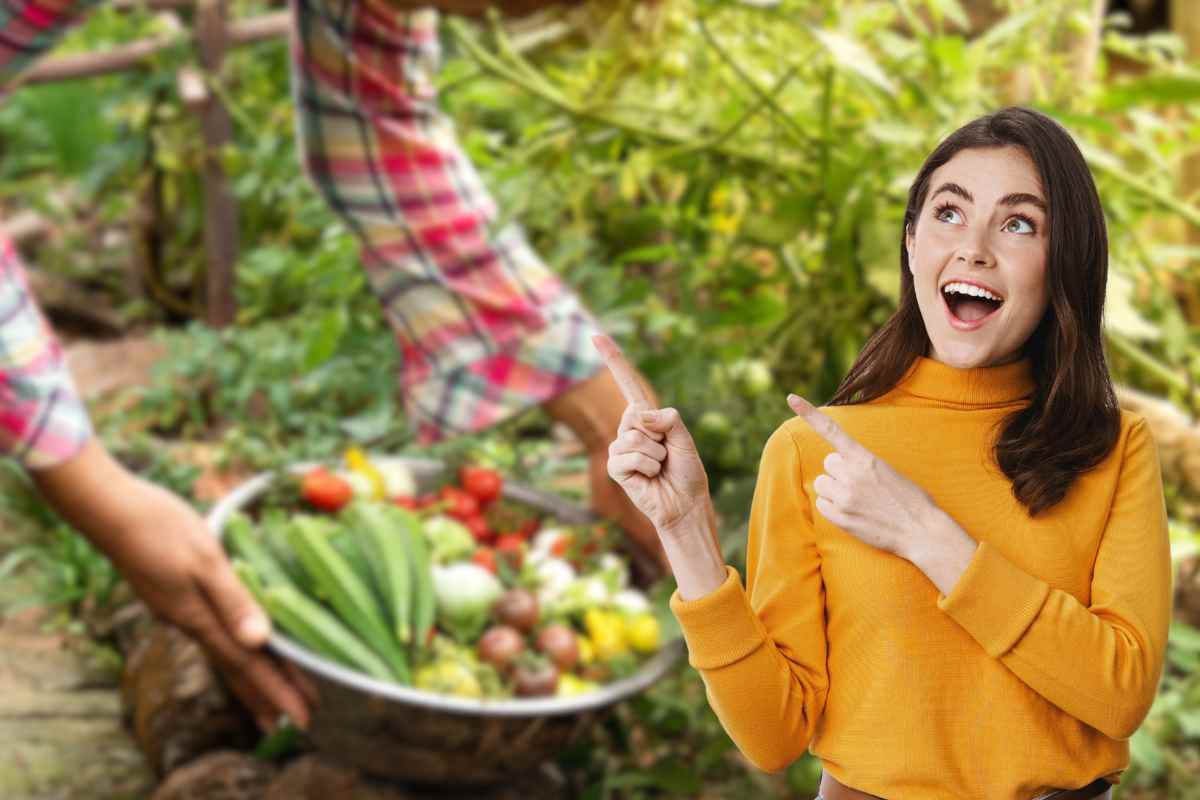 quali sono benefici verdura di stagione