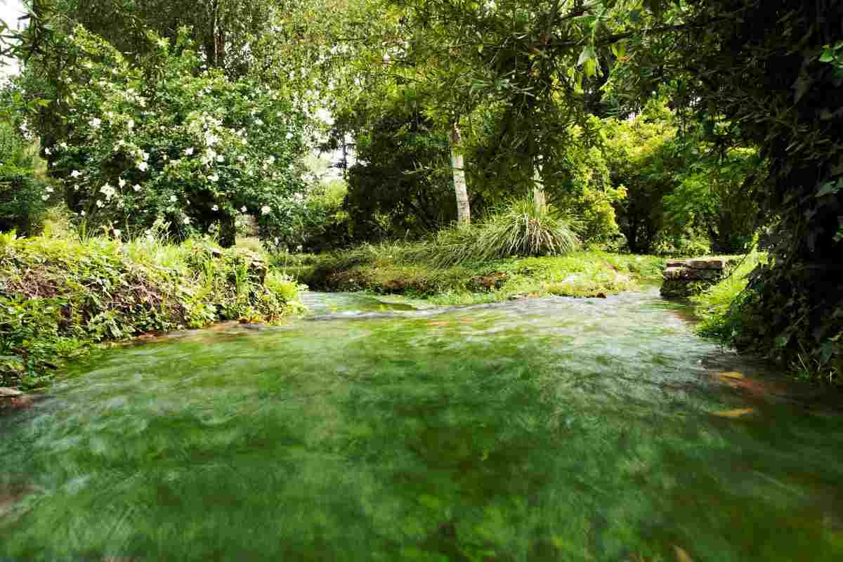 il Giardino di Ninfa un'oasi segreta da scoprire.